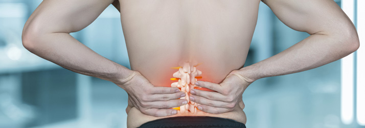 Chiropractic Southeast FL Back Pain Cutaway