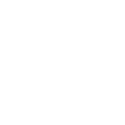 Corporate Icon